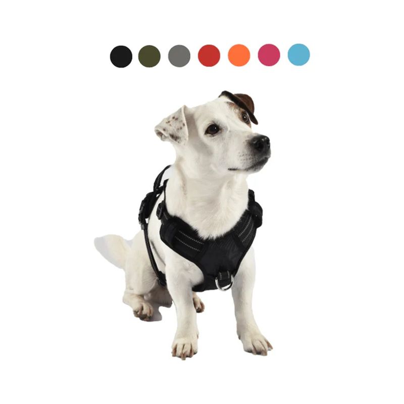 croci-pettorina-cane-bobby-rando-walk-nero10176244-6.jpg