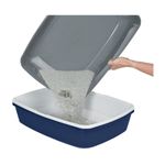 anione-toilet-clean-10152706--4-.jpg