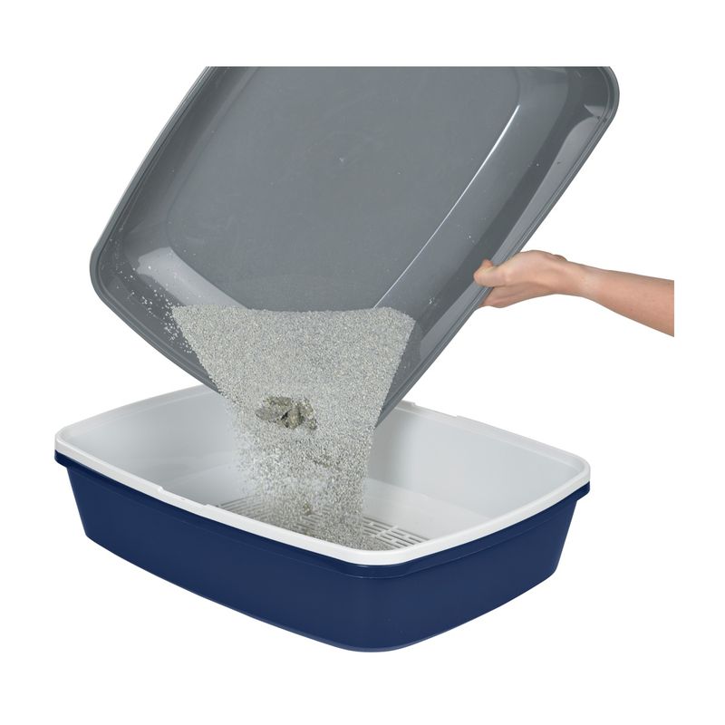 anione-toilet-clean-10152706--4-.jpg