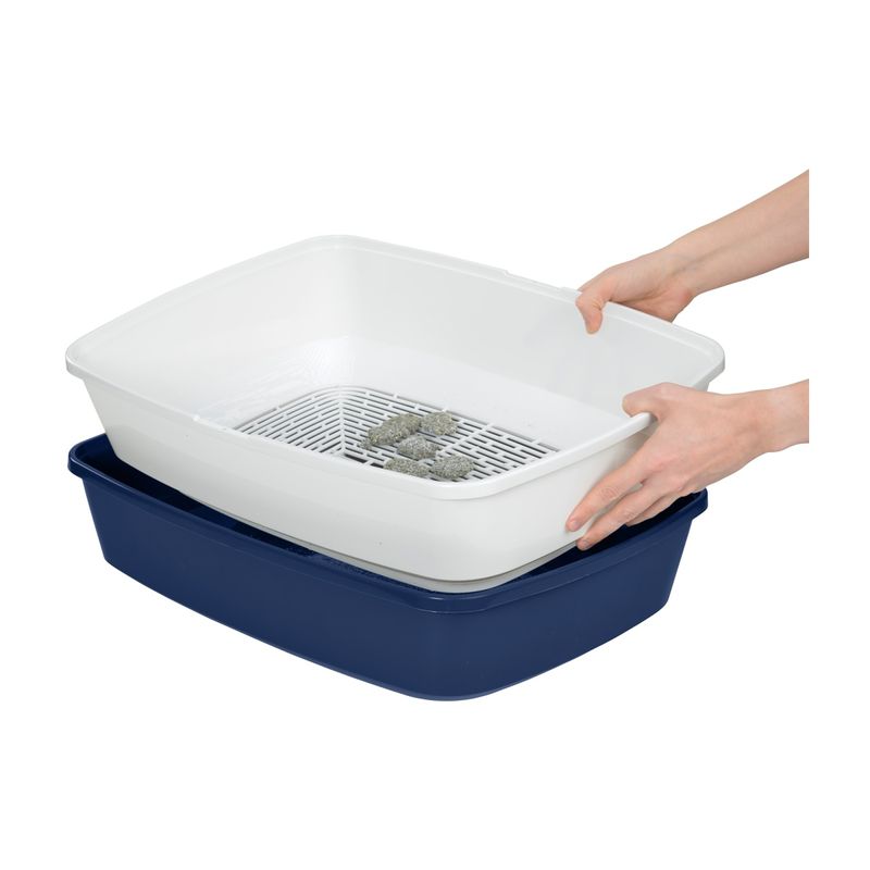 anione-toilet-clean-10152706--3-.jpg