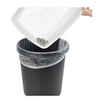 anione-toilet-clean-10152706--2-.jpg