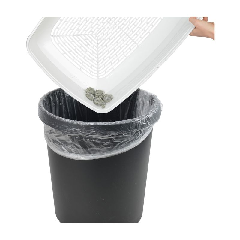 anione-toilet-clean-10152706--2-.jpg