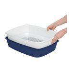 anione-toilet-clean-10152706--1-.jpg