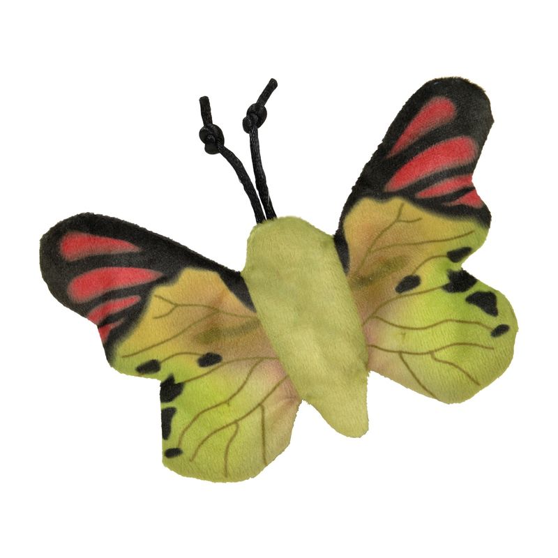 anione-farfalle.jpg
