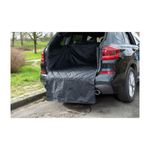 Anione-Telo-per-Auto-10152749-3.jpg