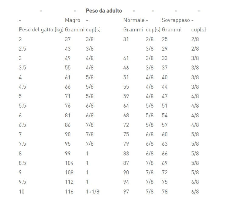 Royal Canin Veterinary Renal 12x100g - Alimento Umido Per Cani Con Insufficienza Renale - Foto 4