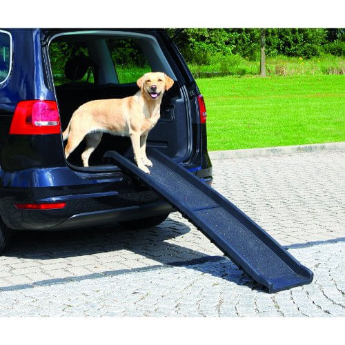 rampa-rocket-pieghevole-per-cane