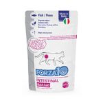 forza10-cat-intestinal-active--1-