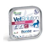 monge-vetsolution-gatto-recovery-vaschetta-100g