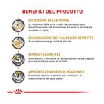 royal-canin-veterinary-diet-gatto-urinary-modearte-calorie-multipack-1-02kg--6-