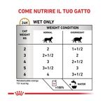 royal-canin-veterinary-diet-gatto-urinary-modearte-calorie-multipack-1-02kg--4-