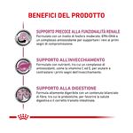 royal-canin-veterinary-diet-gatto-renal-early-multipack-1-02kg--5-