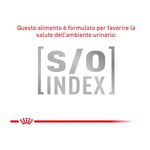royal-canin-veterinary-diet-gatto-renal-early-multipack-1-02kg--4-