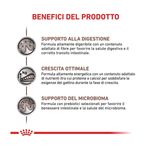royal-canin-veterinary-diet-kitten-gastrointestinal-195g--5-