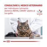 royal-canin-veterinary-diet-kitten-gastrointestinal-195g--1-