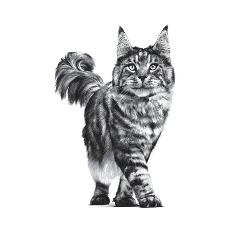 royal-canin-veterinary-diet-gatto-gastrointestinal-multipack-1-02kg--4-