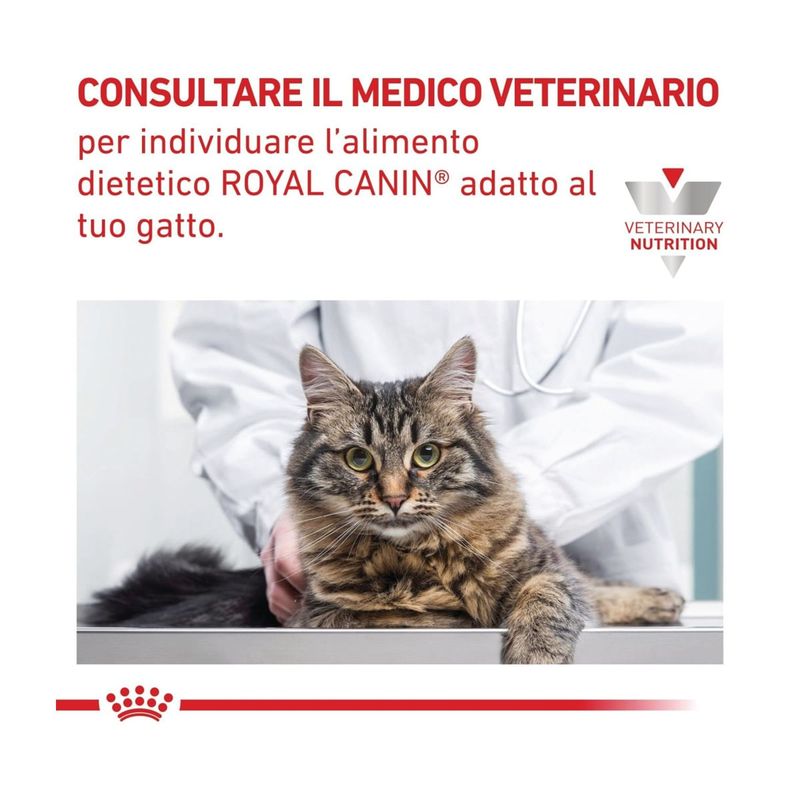 royal-canin-veterinary-diet-gatto-gastrointestinal-multipack-1-02kg--2-