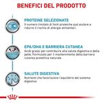 rc-vet-wet-catsensctrl-cv-eretailkit-2-it-it_risultato