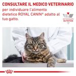 rc-vet-wet-catsensctrl-cv-eretailkit-6-it-it_risultato