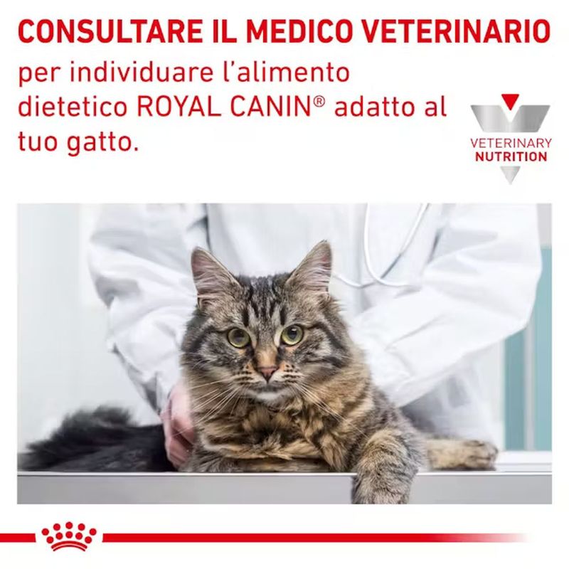 rc-vet-wet-catsensctrl-cv-eretailkit-6-it-it_risultato