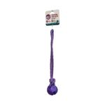 pay-gioco-cane-extra-strong-corda-avatar-con-palla-