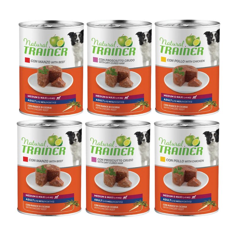 set-prova-multigusto-6x400g-natural-trainer-dog-medium-maxi-1000000001290---1-