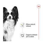 royal-canin-xs-adult-busta-multipack-48x85g-10174173--4-