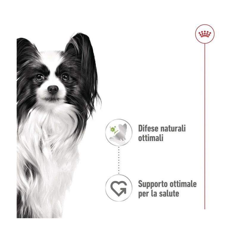 royal-canin-xs-adult-busta-multipack-48x85g-10174173--4-