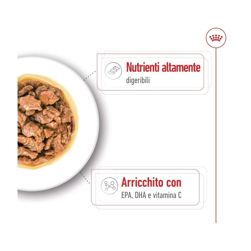royal-canin-xs-adult-busta-multipack-48x85g-10174173--5-