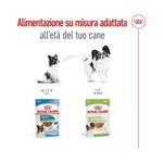 royal-canin-xs-adult-busta-multipack-48x85g-10174173--6-