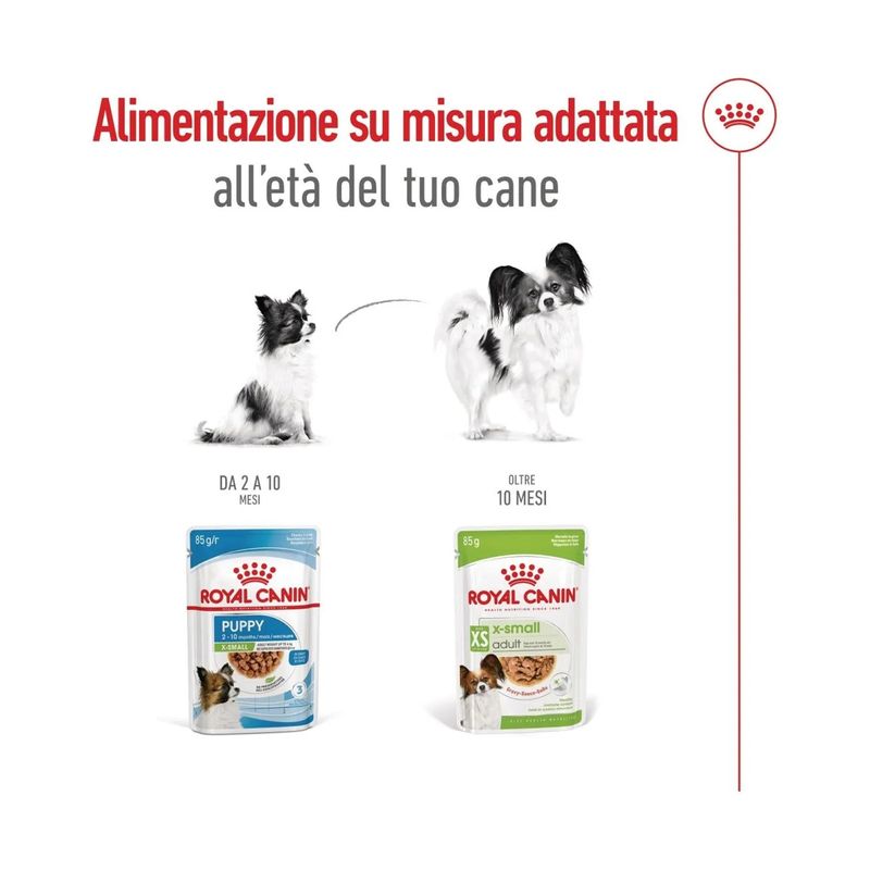 royal-canin-xs-adult-busta-multipack-48x85g-10174173--6-