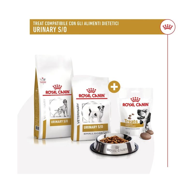 Royal-Canin-Adult-Snack-Cane-Treats-Urinary-10186825--4-.jpg