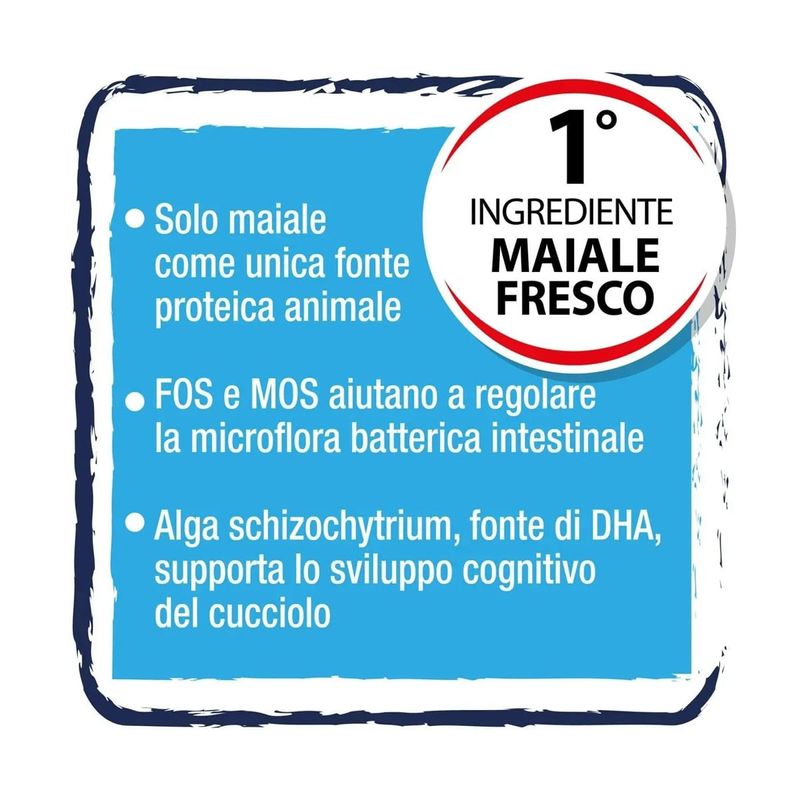Hi-Pork-Puppy-al-Maiale-10129431-4