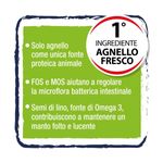 hi-lamb-cane-adult-agnello-1000000001224-4