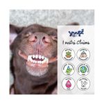 yuup-dog-spray-dentale-10187873--6-