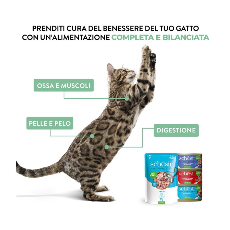 schesir-cat-lattina-in-gelatina-multipack-6x85g-10129813--8-.jpg