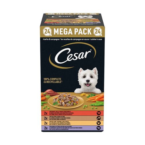 Cesar Dog Ricette di Campagna Vaschetta Multipack 24X150G