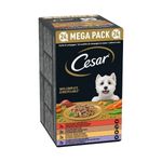 cesar-dog-ricette-di-campagna-vaschetta-multipack-24x150g-10187504--2-