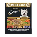 cesar-dog-ricette-di-campagna-vaschetta-multipack-24x150g-10187504--1-