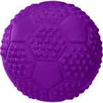 Fit-and-Fun-Gioco-Cane-Palla-in-Gomma-Naturale-2