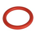Fit-and-Fun-Gioco-Cane-Anello-in-Gomma-Naturale-2