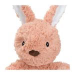 Anione-Gioco-Cane-Peluche-Coniglio-10187684-3