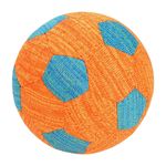 Anione-Gioco-Cane-Palla-da-Spiaggia-10187679
