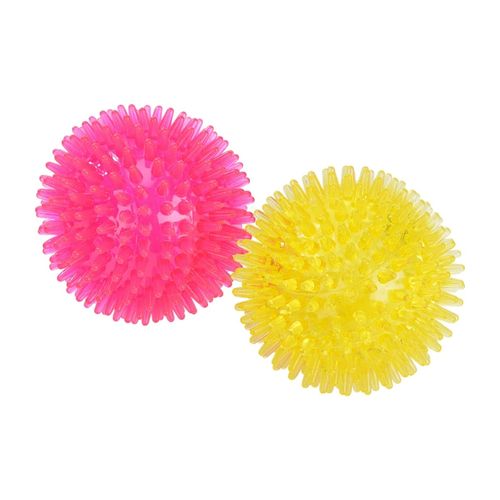 Fit and Fun Gioco Cane Palla Riccio