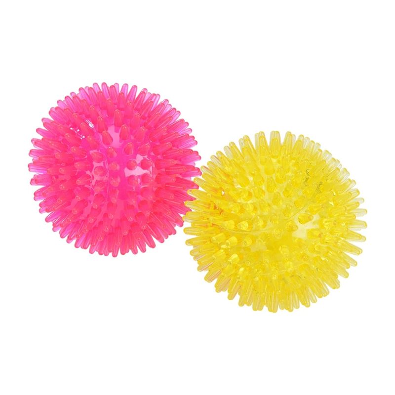 Fit-and-Fun-Gioco-Cane-Palla-Riccio