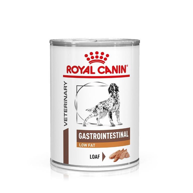 Royal-Canin-V-Diet-Gastrointestinal-Low-Fat-Alimento-dietetico-completo-per-cani-adulti-10170042