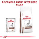RC-VHN-GastrointestinalWet-400g-CV-Eretailkit-6-it_IT_1200x1200