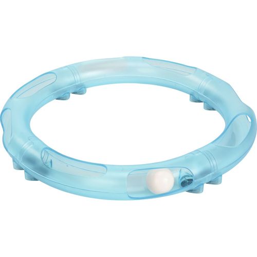 Anione Piste Circle per Gatti