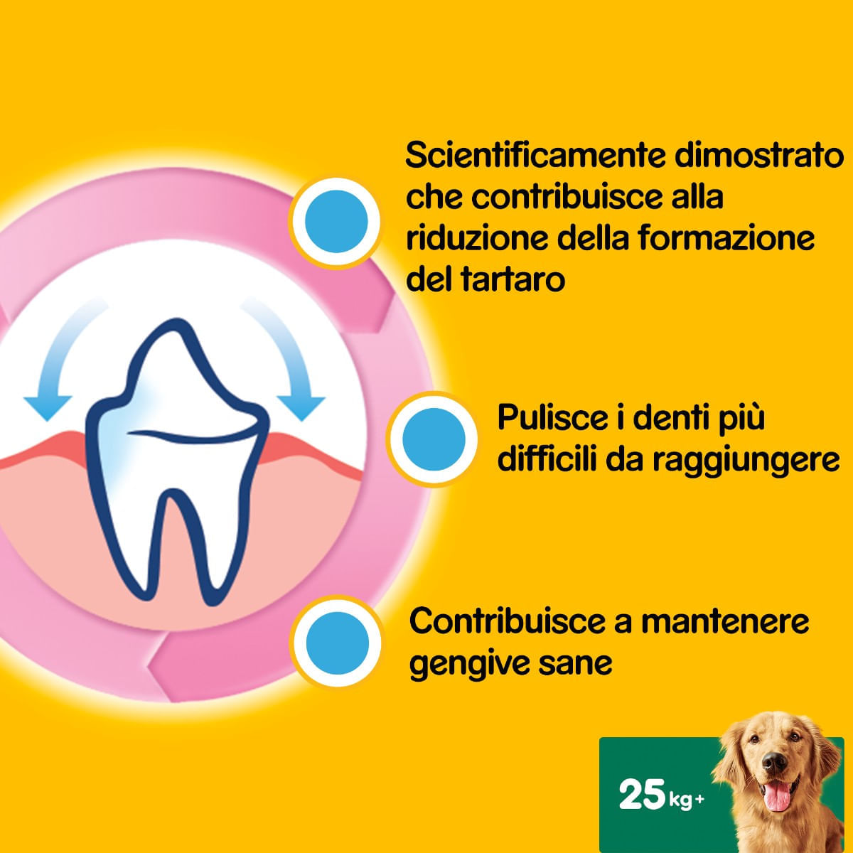 Pedigree Dentastix Snack Per Igiene Orale Cane Medio 56 Pezzi 1440 G - Foto 5
