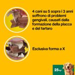 pedigree-dentastix-large-4